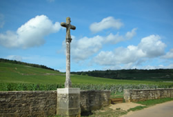 かの有名なロマネ・コンティの畑には、ラベルにも描かれている十字架も立てられている